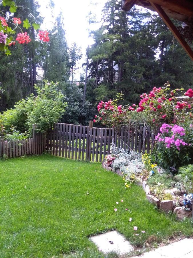Achillea Bed & Breakfast 维哥迪法萨 外观 照片